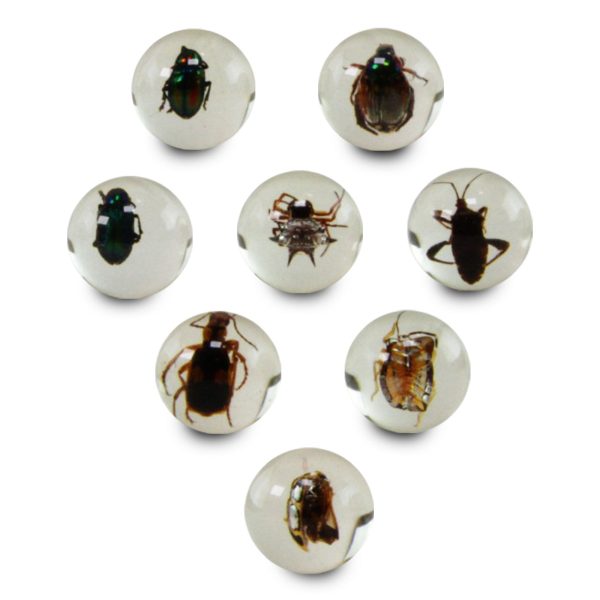 Safari Ltd Geoworld Bug Marbles Discount