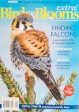 Birds & Blooms Extra Magazine Online now