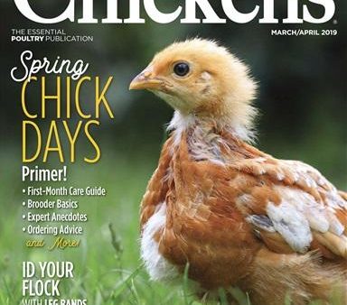 Chickens Magazine Hot on Sale