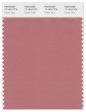 Pantone Smart 17-1524 TCX Color Swatch Card | Desert Sand Fashion