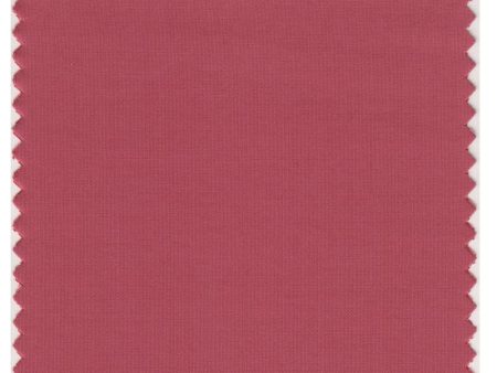 Pantone Smart 17-1537 TCX Color Swatch Card | Mineral Red Online now