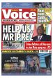 Daily Voice For Cheap