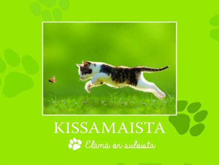 Kissamaista Online