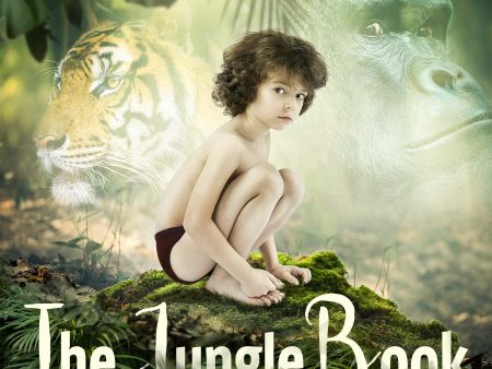 Jungle Book, The For Sale